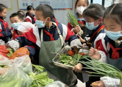 構建根底拓寬特征三級課程系統根底課程註重生活技術